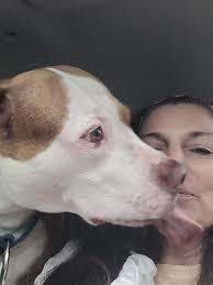 I love days home with Booker♥️