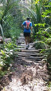 Hutan simpan & rekreasi sungai menyala. Enter The Sungai Menyala Forest Trail Asia Trail Master