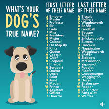 Dog names starting with the letter c are popular for a reason: What S Your Dog S True Name Girl Dog Names Girl And Dog Puppy Quotes