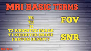 T1 recovery, t2 decay and proton density. Mri Basic Terms Tr Te Ti T2 Weighted Image T1 Weighted Image Proton Density Snr Fov Youtube