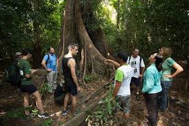 See reviews and photos of forests in brazil, south america on tripadvisor. Bilateral Biodiversity Conservation Brazil U S Agency For International Development