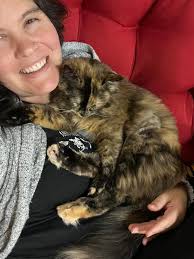 Tortie or torbie