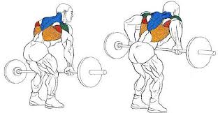 gimnasio