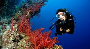 Sinai, 46619 po box 10, na'ama bay camel hotel. Dive Stay Camel Hotel Camel Dive Club Hotel