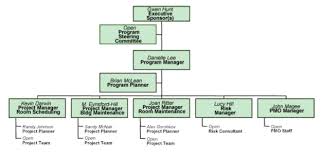 defining program governance and structure