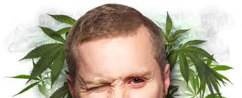 The eye may be scratchy and sore. How To Prevent And Treat Red Eyes From Consuming Or Smoking Cannabis By Zamnesia Medium