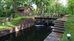 Meppen, deu thursday mar 11, 2021 timed auction starts 9:00 am friday mar 5, 2021 Sehenswurdigkeiten Tourist Information Meppen