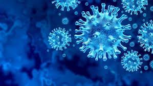 Coronaviruses are a group of related rna viruses that cause diseases in mammals and birds. European Institute Of Innovation And Technology Eit Allocates 6 Million To Combat Covid 19 Allgemeine Und Berufliche Bildung