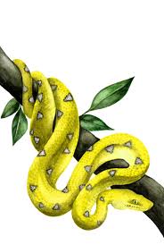 Yellow Snake Art Snake Painting Snake Art Reptile Gifts