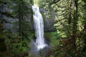 You'll still have the benefit of being able to enjoy all of the city's attractions and facilities while being immersed in the great outdoors. Salt Creek Falls Wikipedia