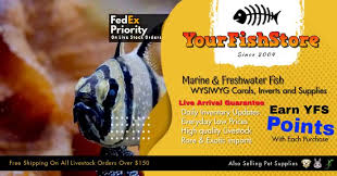 Maybe you would like to learn more about one of these? Your Online Aquatics Fresh Saltwater Fish Store