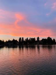 Profile for Barbara Fiene-Realtor with Schaffer & Company Realtors  Bre#01062634