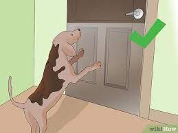 I have tried to list some of the best tips here. 3 Ways To Protect Doors From Dog Scratches Wikihow