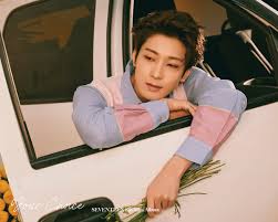 세븐틴), also stylized as seventeen or svt, is a south korean boy band formed by pledis entertainment in 2015. Wonwoo Seventeen Wiki Fandom