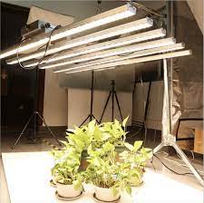 Maybe you would like to learn more about one of these? Hot Sale 200w 600w Full Spectrum Led Grow Lights Plant Grow Light Grow Light Led With Wholesale Price Buy Full Spectrum Led Grow Lights Plant Grow Light Grow Light Led Product On Alibaba Com