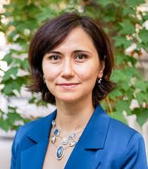 Five Illinois professors recognized as University Scholars