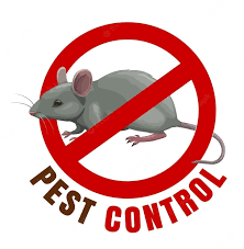 Dedetização de ratos em residências