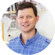 Professor Matt Sweet