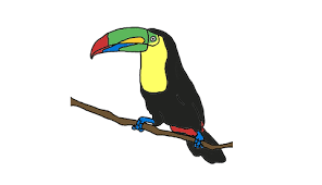 Bird Is The Word Gif With Sound Https Encrypted Tbn0 Gstatic Com Images Q Tbn 3aand9gcrgsxqsvq1hw 27sctxbijlhh Iuyafeiu57g Usqp Cau