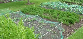How to make a no dig garden bed. How To Start A New Garden Bed Removing Grass For A Garden The Old Farmer S Almanac