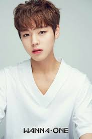 Wanna One Member Profile 2 Park Jihoon Selebritas Selena Gomez Produce 101