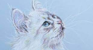 Using primarily chalk pastels, children drew an animal from the amazon region. Impressive Chalk Pastel Artwork For Sale By Belinda Marshall