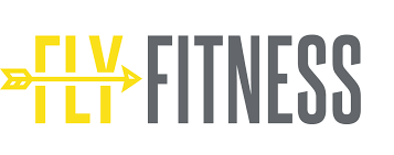 Image result for fly logo