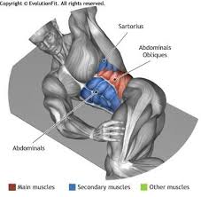 Abdominals Oblique Crunches On The Floor See More About Oblique Crunches Crunches And The Floor Bodybuilding Training Oblique Crunches Bodyweight Workout
