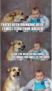Dumb Memes For Maximum Sunday Satisfaction Funny Memes Dumb Memes Funny Jokes