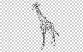 ✓ free for commercial use ✓ high quality images. Giraffe Outline Template Lion Pattern Png Clipart Black And White Body Jewelry Coloring Book Deer Drawing