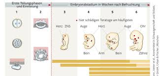 Diese untersuchung kann nur vom frauenarzt und nicht zuhause durchgeführt werden: Zu Viel Vorsorge In Der Schwangerschaft Uberfordert Frauen Welt