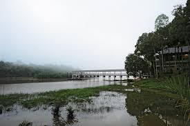 In addition, i will put the differences environment between the past and now of lake chini. The Legend Of Lake Chini In Pahang Expatgo