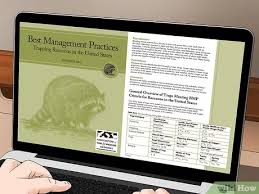 To keep raccoons out of your yard entirely, clear out your garden—removing seeding and dead vegetation. 3 Ways To Keep Raccoons Out Of The Garden Wikihow