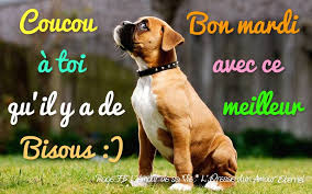 Résultat de recherche d'images pour "coucou toi"