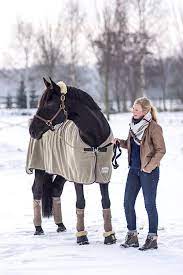 Greys And Navy In The Winter Soooo Much Matching Its Cute Riding Outfit Beautiful Horses Horse Love