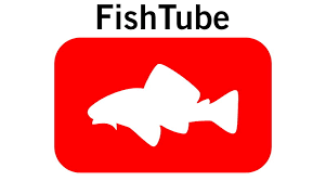 Best Aquarium Youtube Channels Coolfish Network