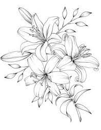 Pin On Flower S