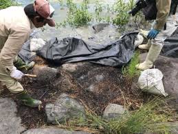 Последние твиты от ケイン・ヤリスギ「♂」 (@kein_yarisugi). ãƒŠã‚¬ã‚¨ãƒ„ãƒ«ãƒŽã‚²ã‚¤ãƒˆã‚¦é§†é™¤ä½œæˆ¦ ã„ãªã¿é‡ŽãŸã‚æ± ãƒŸãƒ¥ãƒ¼ã‚¸ã‚¢ãƒ 