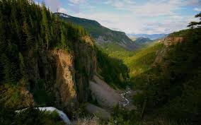 Kebanyakannya adalah dalam bentuk pokok, walaupun terdapat beberapa pokok renek atau semak. Apa Yang Hutan Boreal Hutan Konifer Daripada Taiga Penerangan Flora Dan Fauna