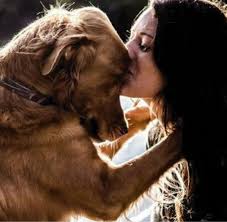 Sembrerebbe un normalissimo punto nero, ma aspettate a. Non Innamorarti Mai Di Una Donna Che Ama I Cani La Lettera Che Ha Conquistato Il Web