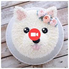 Idees De Gateau De Chien Pour Les Anniversaires Pinterest Meilleur Tutoriel Video Dog Cakes Dog Cake Birthday