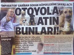 çArşı on X: Fatih Terim sokak hayvanlarından rahatsız oluyor muş ? Hayvan  sevgisi olmayandan İNSAN sevgisi olmaz ! http://t.co/7FkT6lXES7 / X