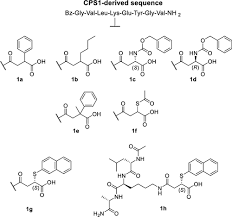 Therapeutic Potential and Activity Modulation of the Protein Lysine  Deacylase Sirtuin 5