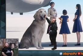 Visit [ register or signin to view external links. Ace Combat Jpeg Dog Know Your Meme