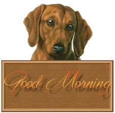 Make a meme make a gif make a chart make a demotivational flip through images. Morning Puppy