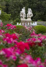 Pin On Plantations Gardens