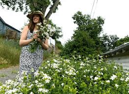 We deliver flowers across melbourne, the cbd & suburbs. Florists News Florists Review
