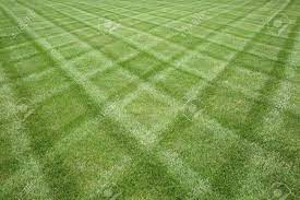 We did not find results for: Professionally Manicured Lawn Cut In A Diamond Pattern Stock Photo Picture And Royalty Free Image Image 5432613