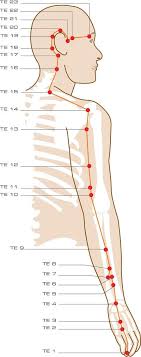 143 Best Acupoints Healing Images Acupressure Massage