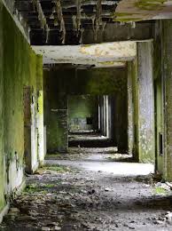 And remember, we don't know if you're. Abandoned Places Near Me Abandoned Places To Explore Abandoned Places Abandoned Explore